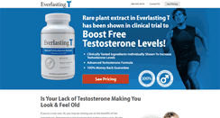 Desktop Screenshot of everlastingt.com